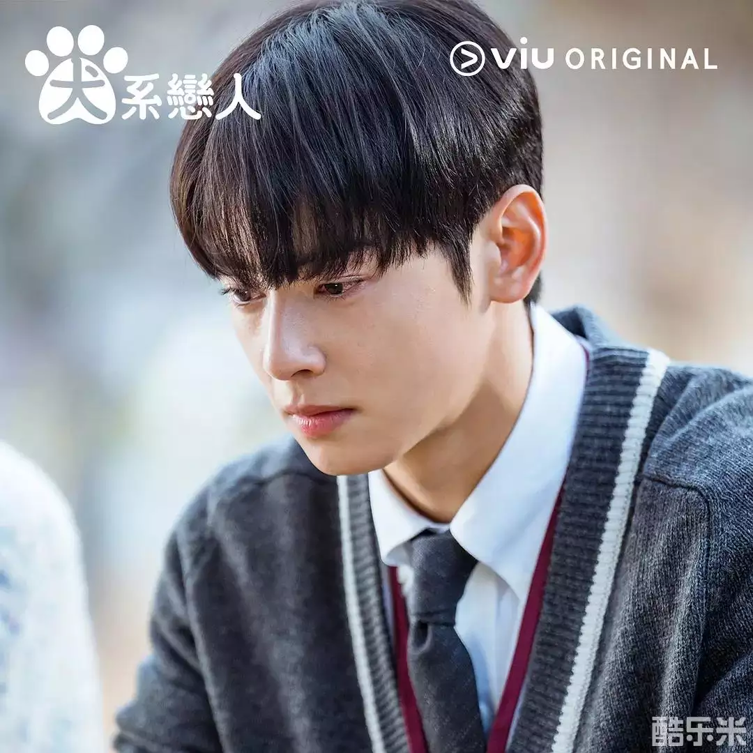 今天也很可爱的狗