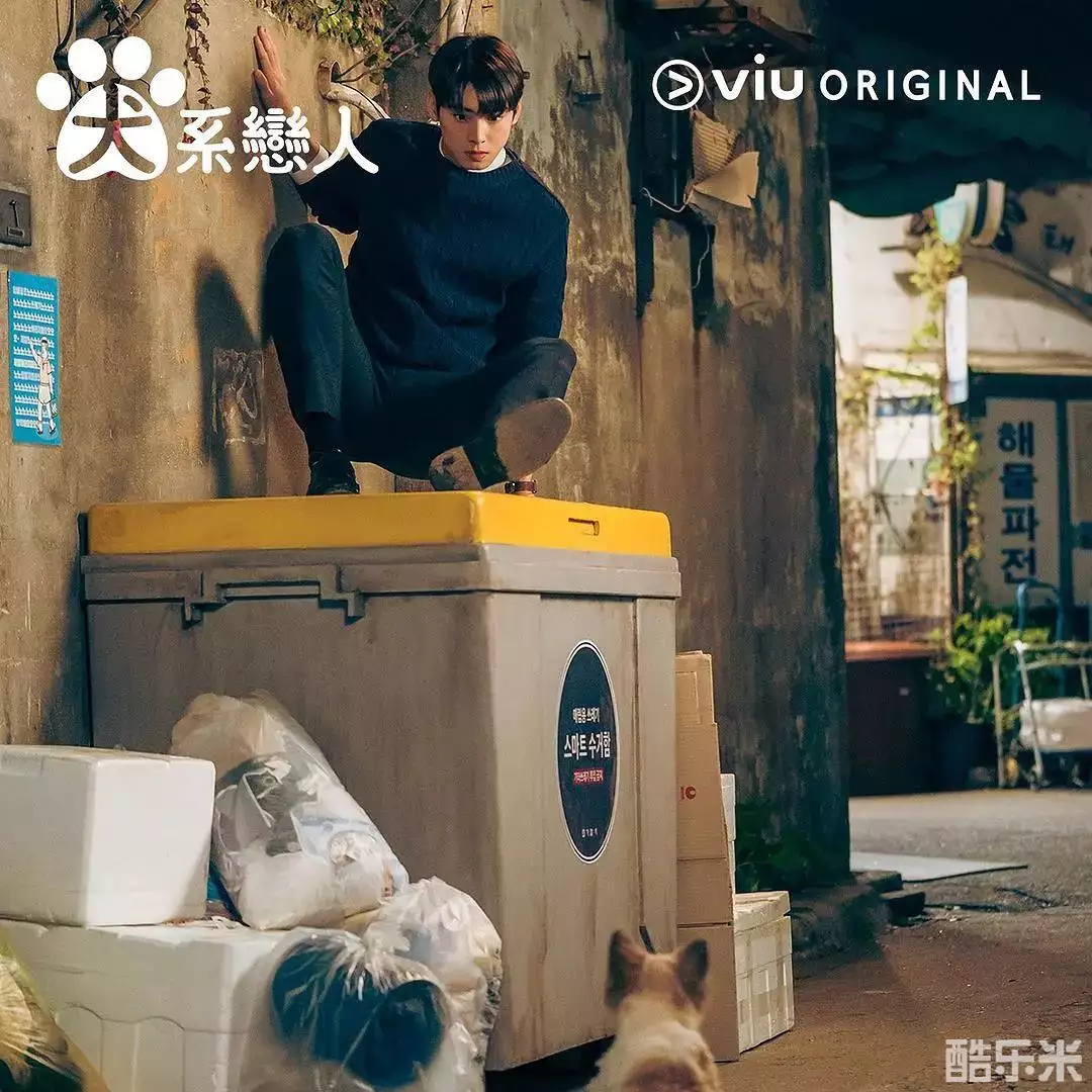 今天也很可爱的狗