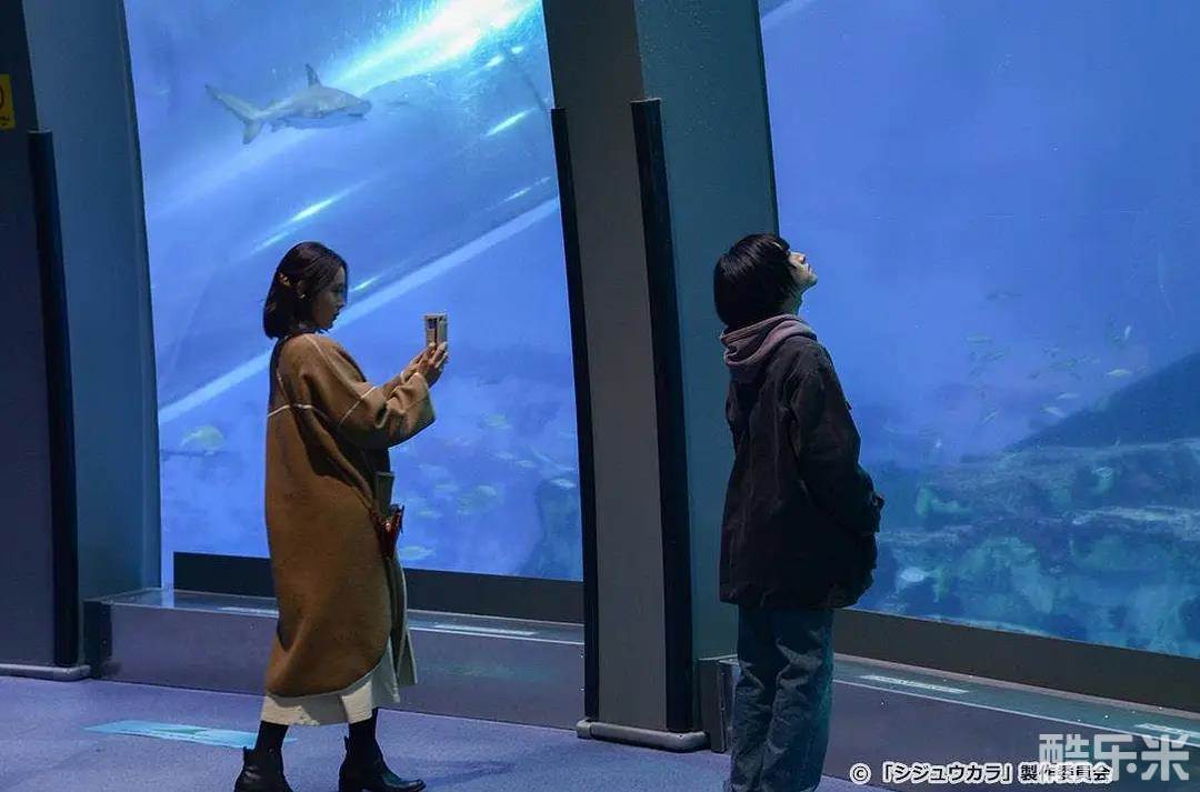 40岁开始