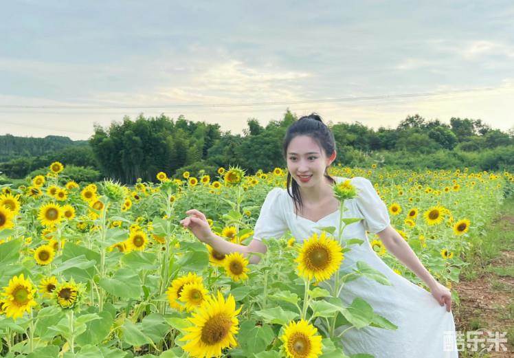 刘莹莹