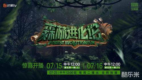 森林进化论