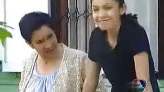 亲爱的女士