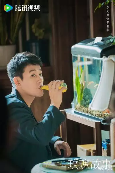 玫瑰故事