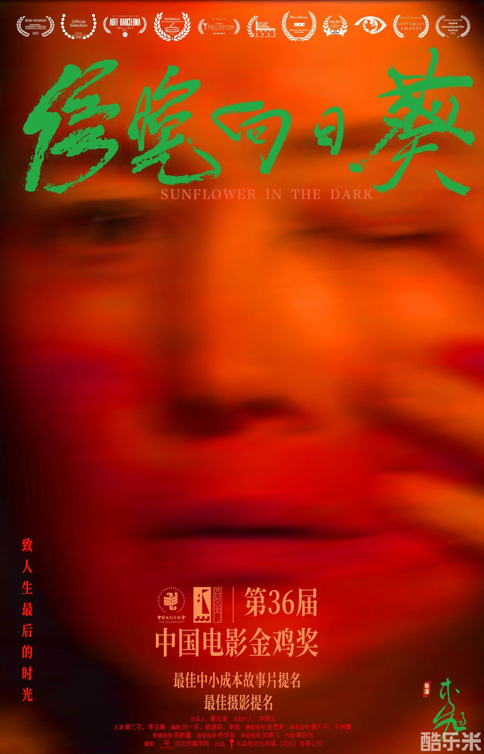 傍晚向日葵