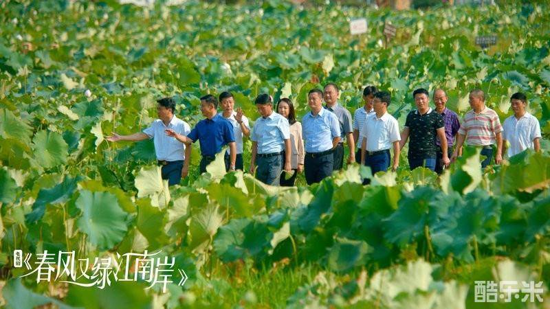 春风又绿江南岸