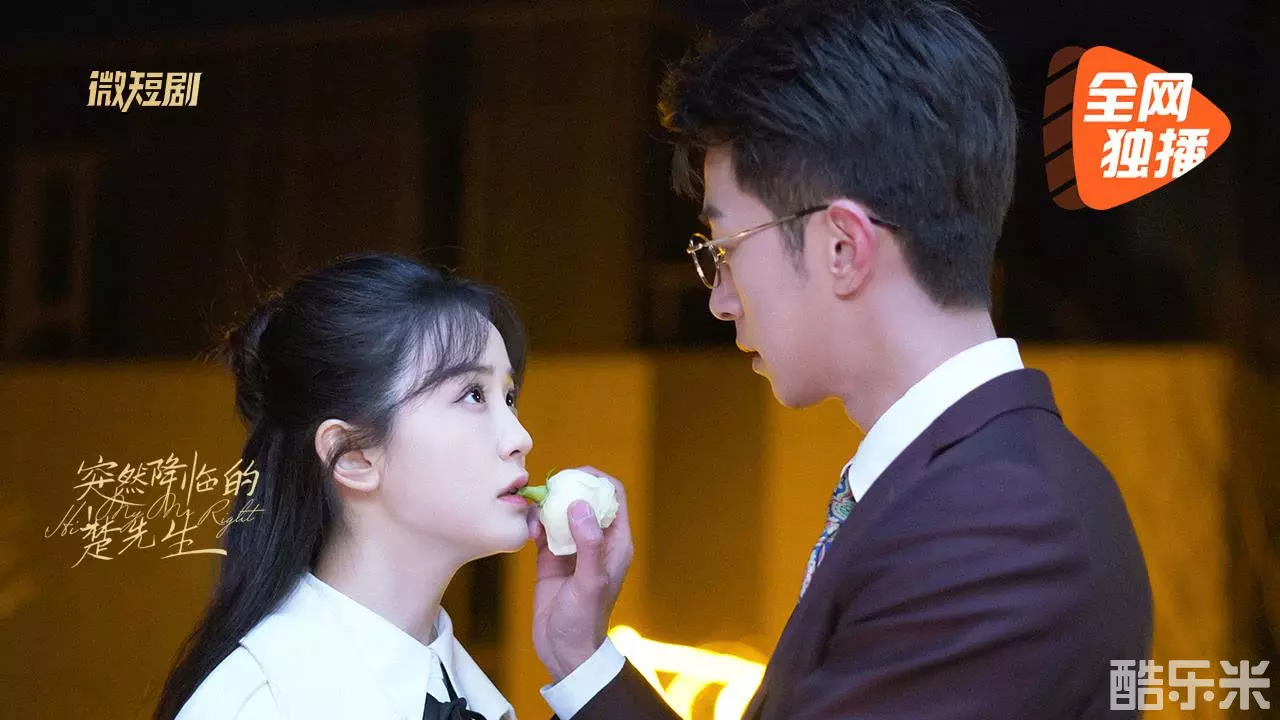 突然降临的楚先生