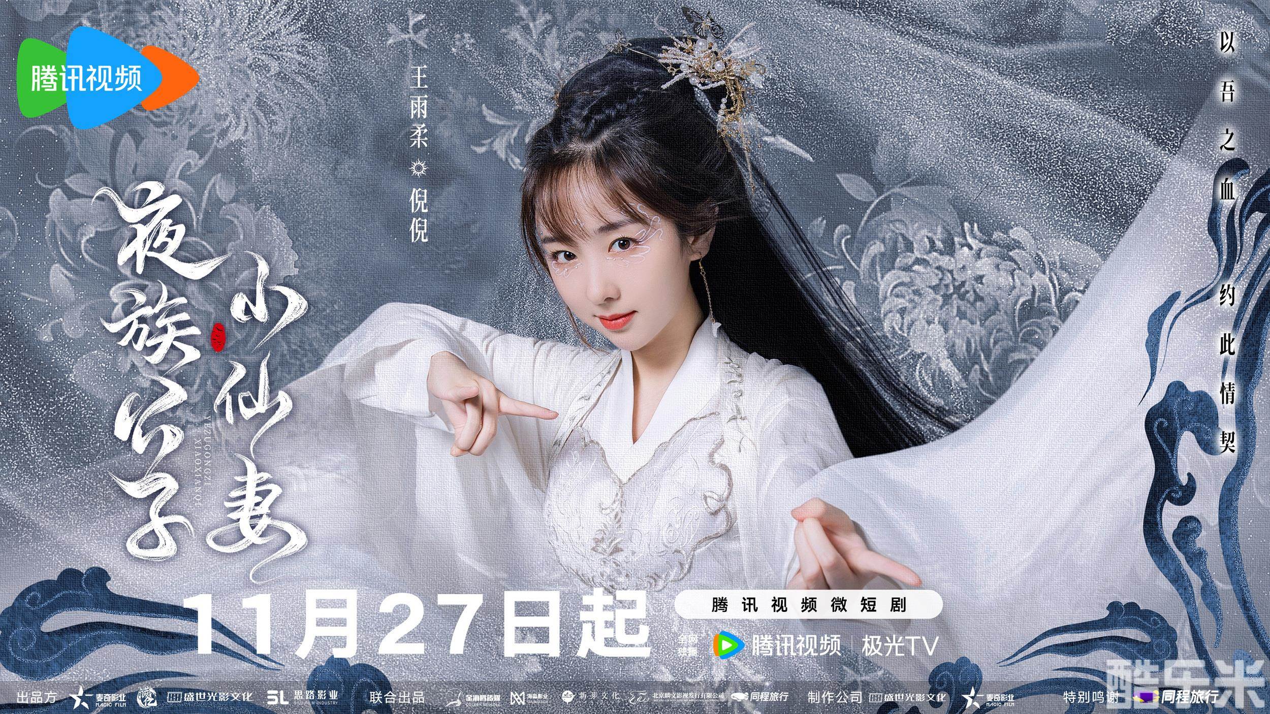 夜族公子小仙妻