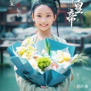 铂莱