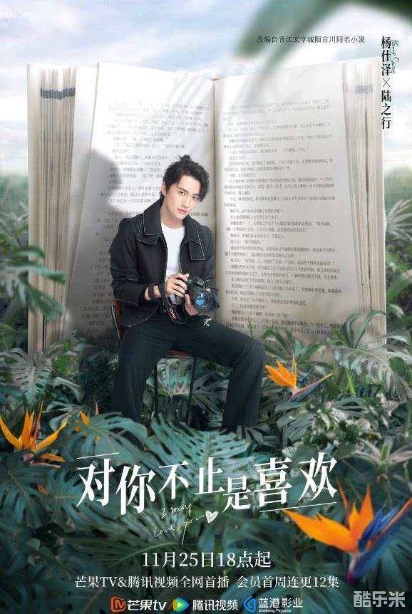 对你不止是喜欢