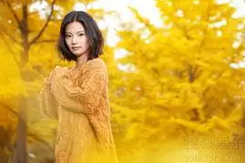 戴路