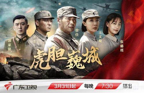 虎胆巍城