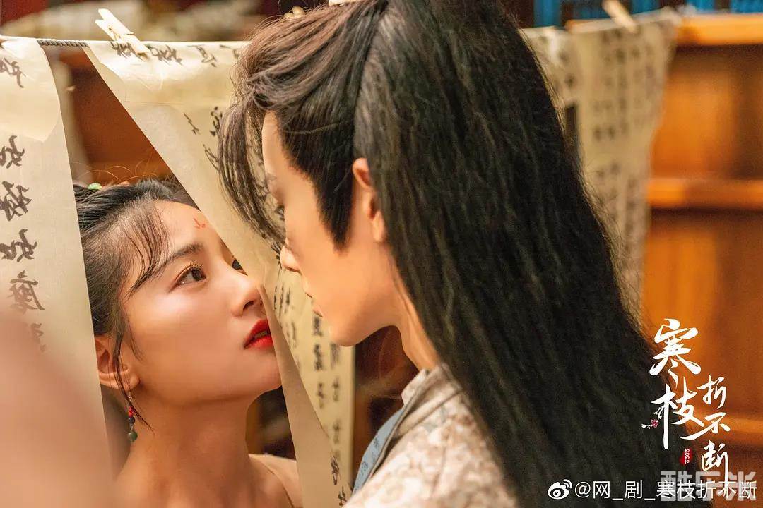 寒枝折不断
