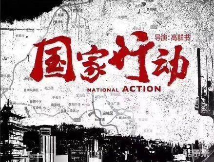 国家行动