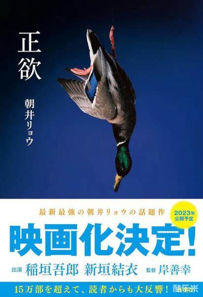 正欲