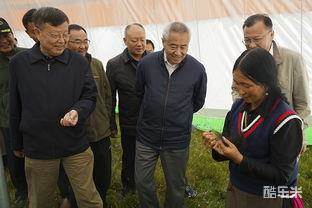 许根俊