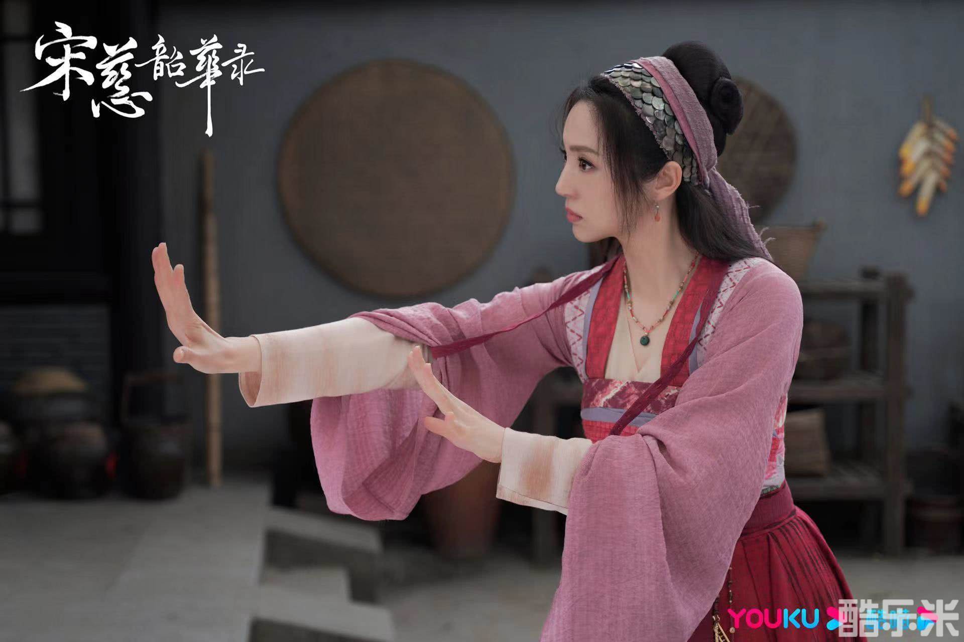 宋慈韶华录