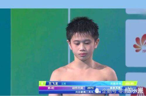 王飞龙