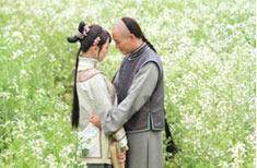 菊花醉