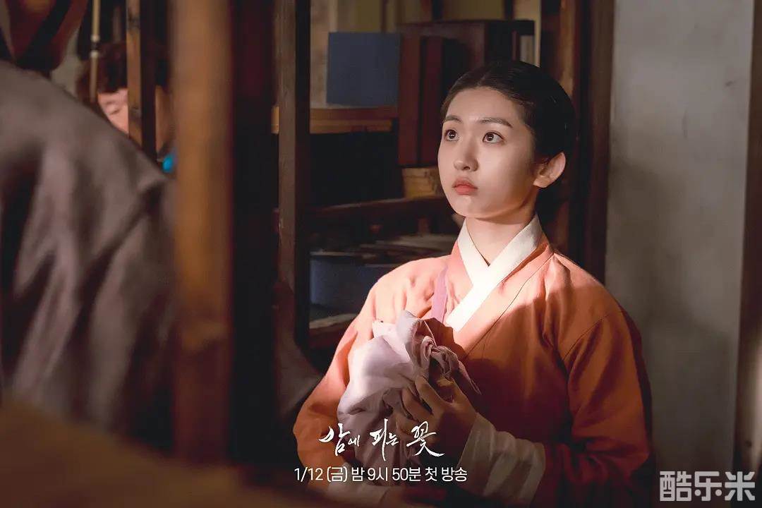夜晚开的花