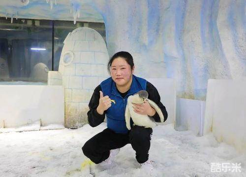 徐冕