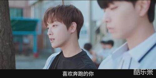 恋爱至上主义区域