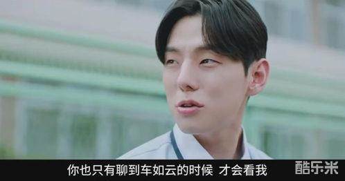 恋爱至上主义区域