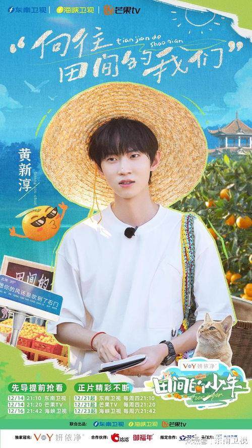 田间的少年