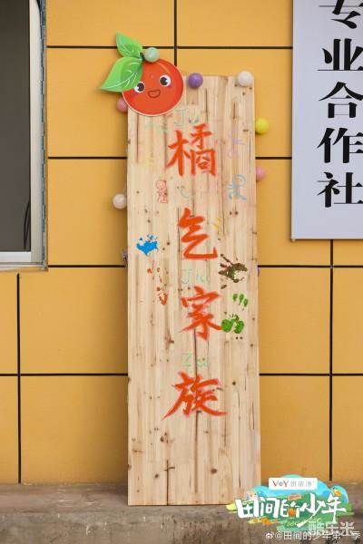 田间的少年