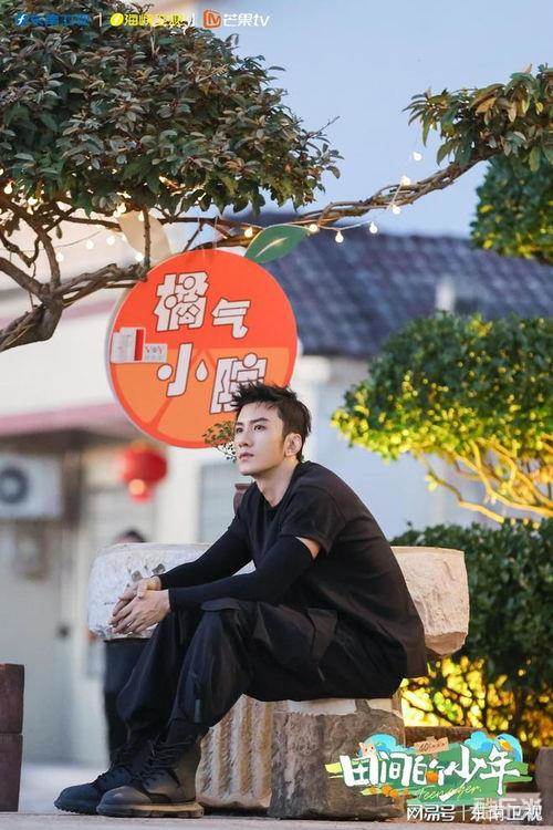 田间的少年
