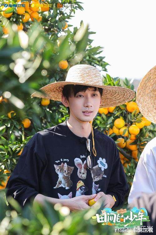 田间的少年