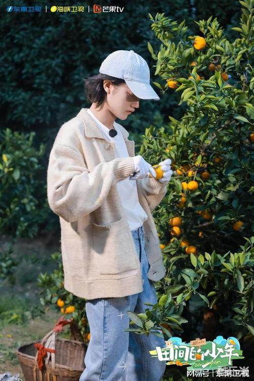 田间的少年