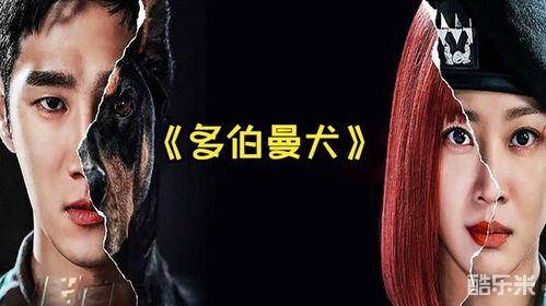 军检察官多伯曼犬