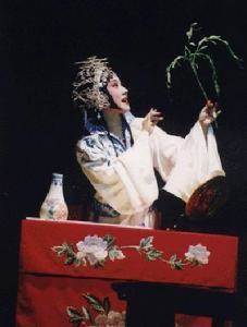 沈昳丽