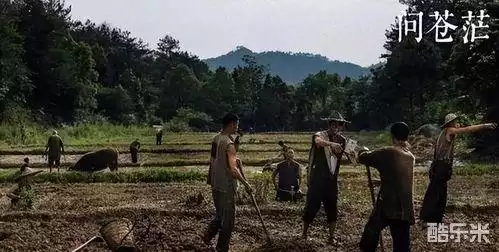 问苍茫