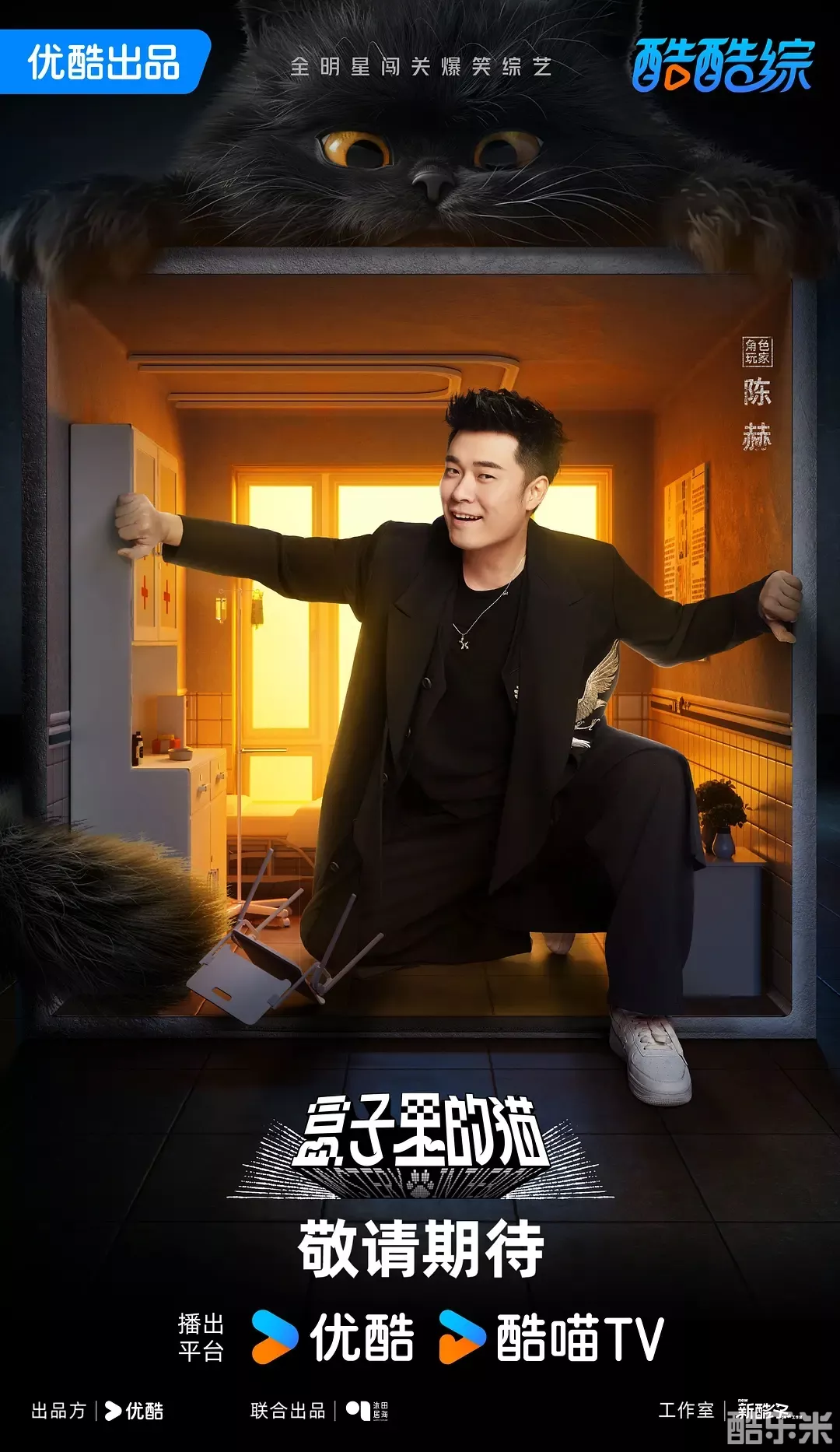 盒子里的猫