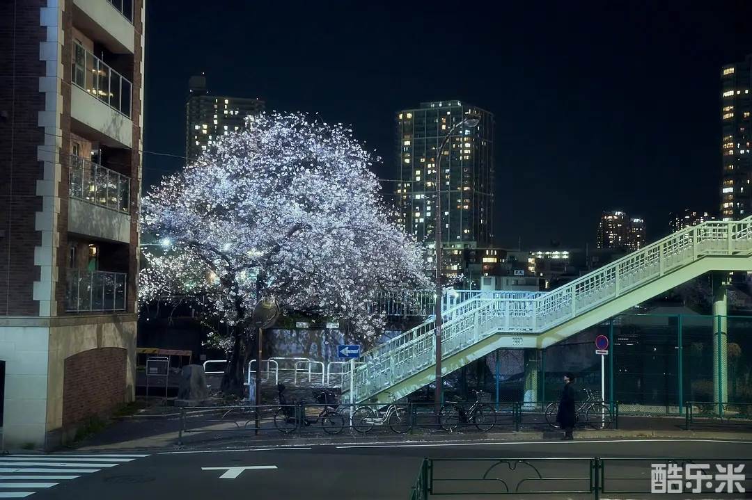 四月女友